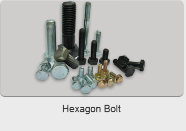 Hexagon Bolt